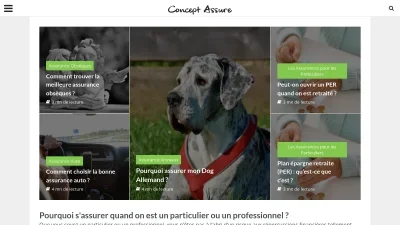 Concept Assure