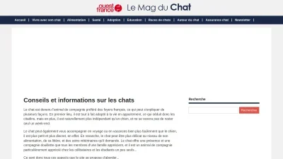 Lemagduchat.com